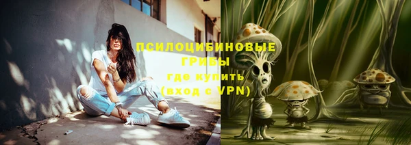 молекула духа Костерёво