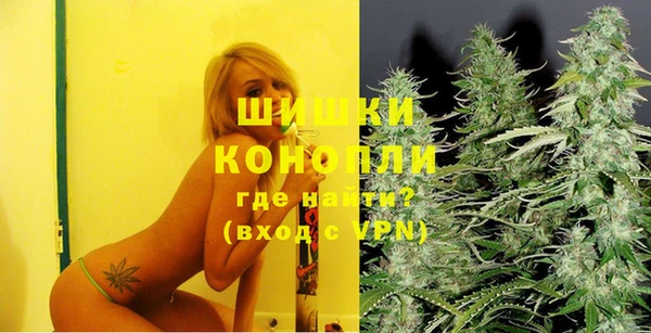 молекула духа Костерёво
