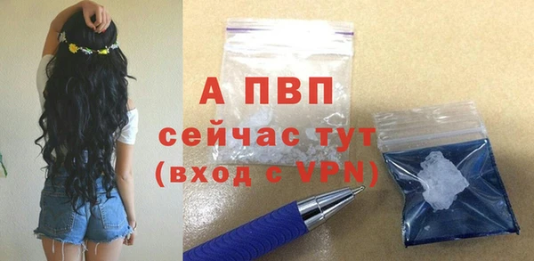 молекула духа Костерёво