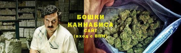 молекула духа Костерёво
