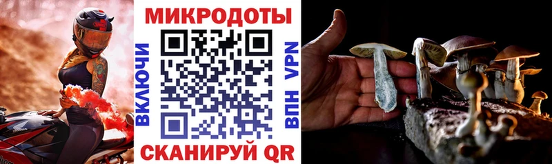 Галлюциногенные грибы мицелий  Купить  Ильский 